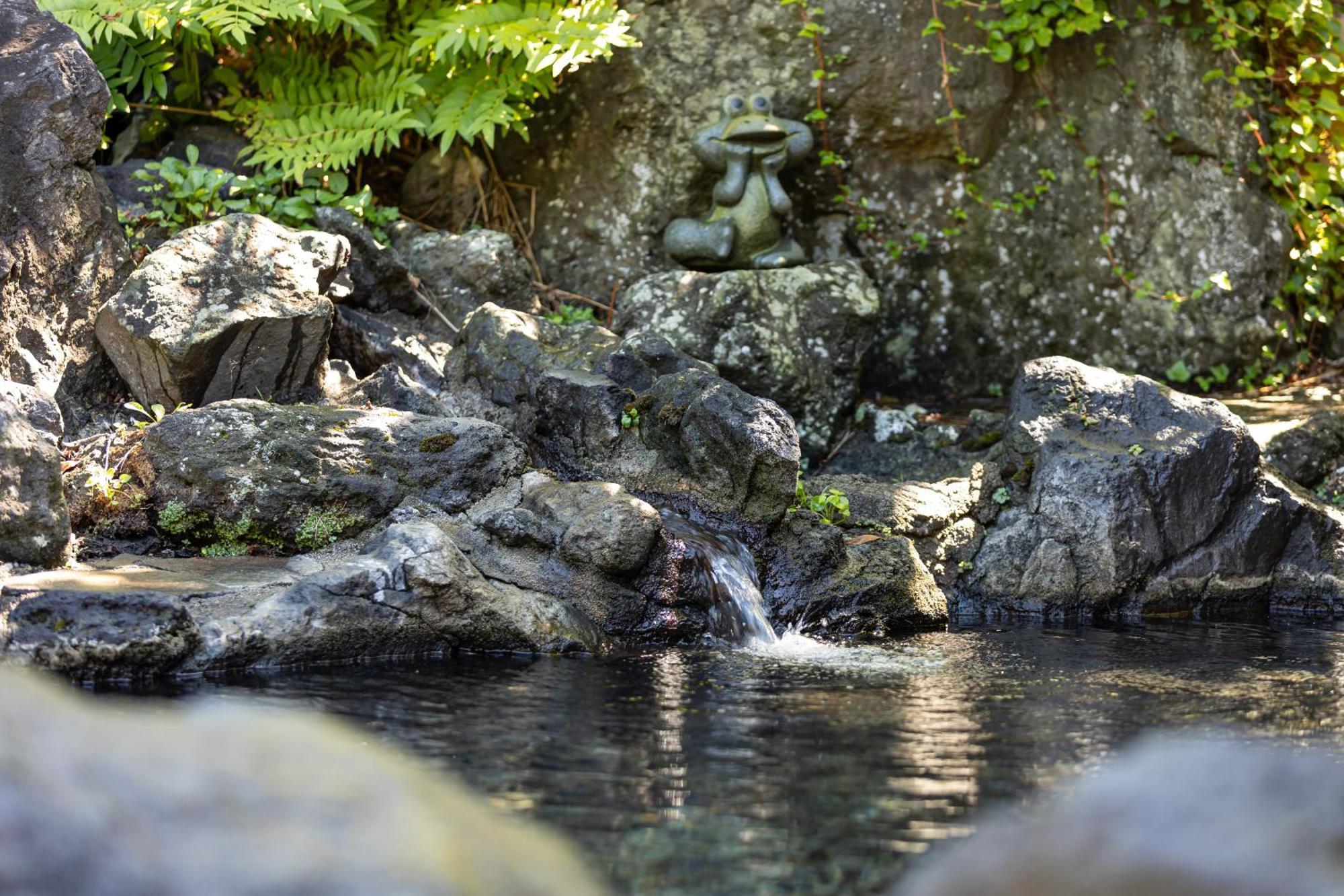 傳統日式旅館 Kamenoi Tazawako