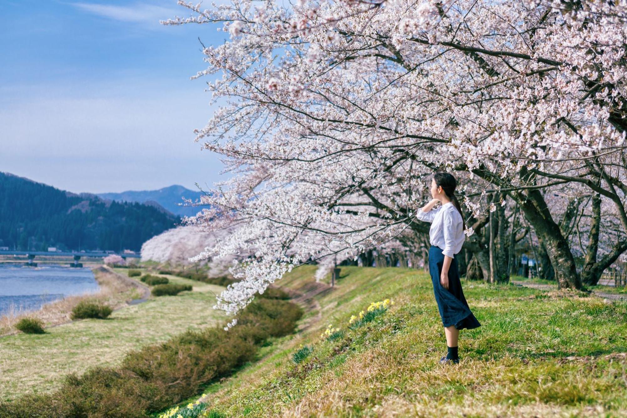 Ryokan Kamenoi Tazawako Semboku